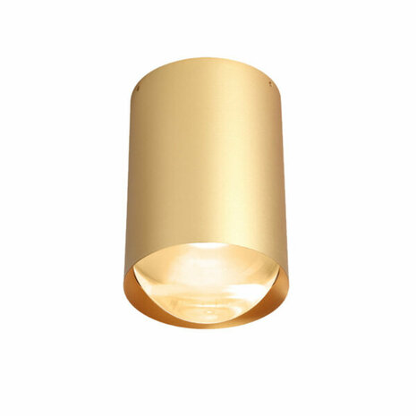 Bily 16 up Outdoor plafondlamp Trizo21