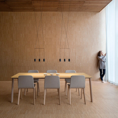 Wireflow Lineal 0338 hanglamp Vibia 