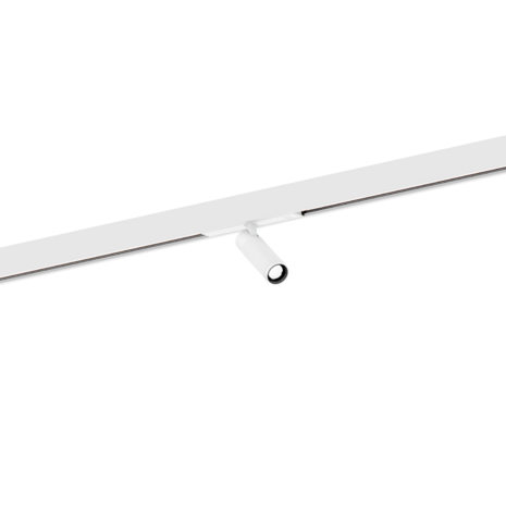 Trace mini 1.0 on Strex railspot Wever & Ducre 