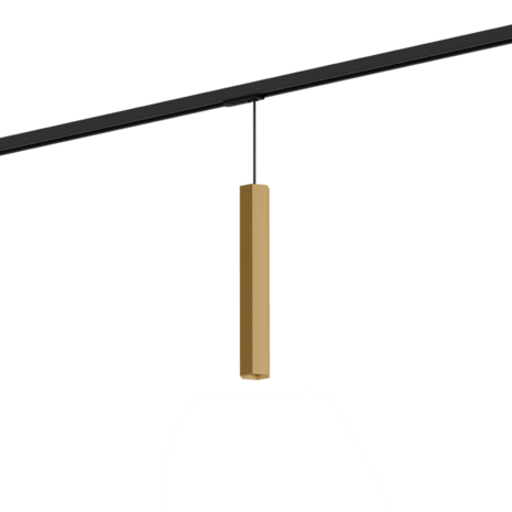 Hexo mini 3.0 on track (3-fase) par11 hanglamp Wever & Ducre 