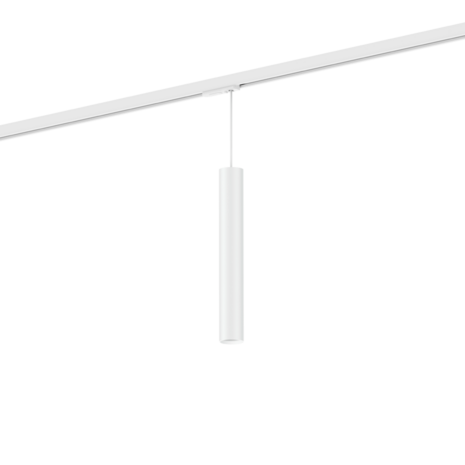 Ray mini 3.0 on track (3-fase) par11 hanglamp Wever & Ducre 