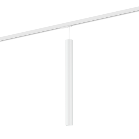 Ray mini 5.0 on track (3-fase) par11 hanglamp Wever & Ducre 