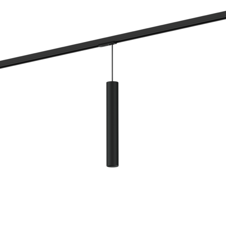 Ray mini 3.0 on track 1-fase par11 hanglamp Wever & Ducre 