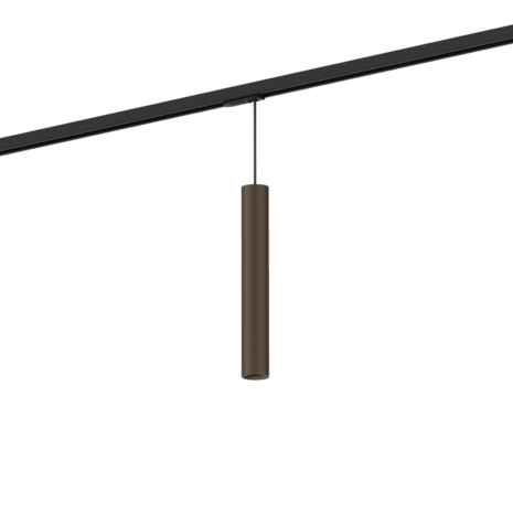 Ray mini 3.0 on track 1-fase par11 hanglamp Wever & Ducre 