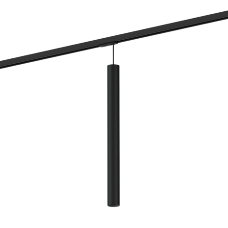 Ray mini 5.0 on track 1-fase par11 hanglamp Wever & Ducre 
