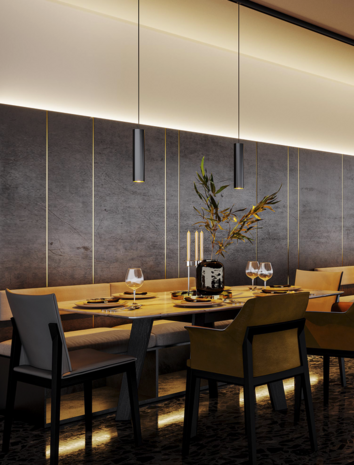 Ray 2.0 on track (1-fase) gu10 hanglamp Wever & Ducre 