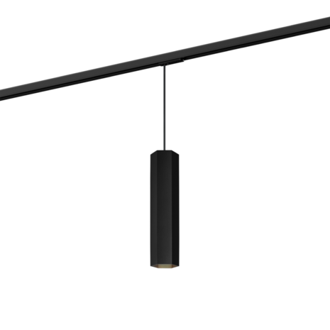 Hexo 3.0 on track (1-fase) gu10 hanglamp Wever & Ducre 