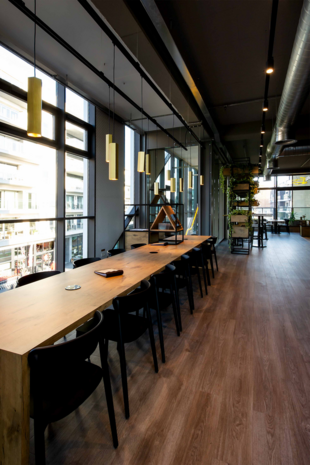 Hexo 2.0 on track (1-fase) gu10 hanglamp Wever & Ducre 