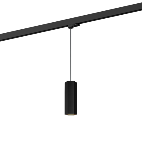Hexo 2.0 on track (1-fase) gu10 hanglamp Wever & Ducre 