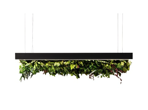 Meeting Silence Leaf hanglamp Olev