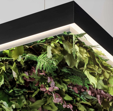 Meeting Silence Leaf hanglamp Olev