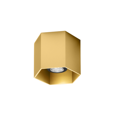 Hexo 1.0 gu10 opbouwspot Wever & Ducre 