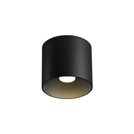 Ray 1.0 led opbouwspot Wever & Ducre 