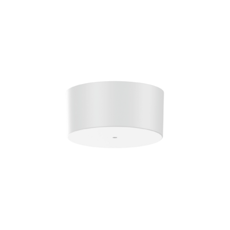 Ray 2.0 gu10 hanglamp Wever & Ducre 