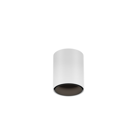 Ray mini 1.0 led opbouwspot Wever & Ducre 