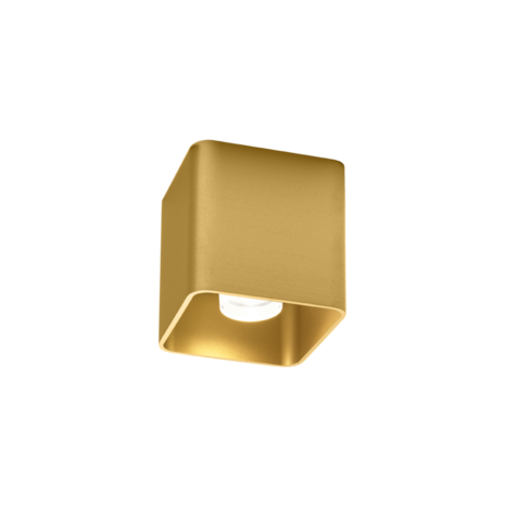 Docus 1.0 led opbouwspot Wever & Ducre 