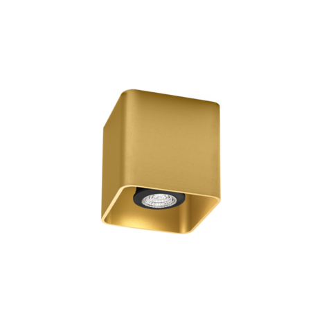 Docus 1.0 gu10 opbouwspot Wever & Ducre 