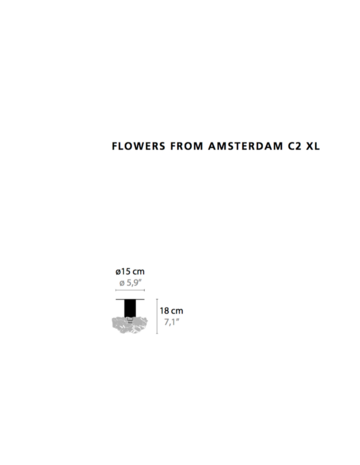 Flowers from Amsterdam C2 xl plafondlamp Ilfari