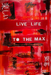 Live Life To The Max - Kunst