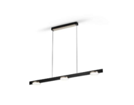 Inlay S1250 disc black/gold hanglamp Light Point