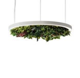 Gavin Silence leaf Ø100 cm hanglamp Olev