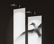 Dano p wandlamp Molto Luce Dano p wandlamp Molto Luce